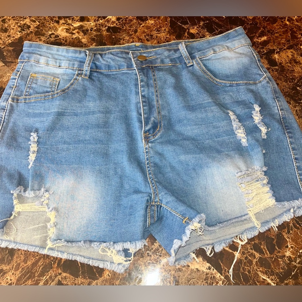 Fashion Nova Denim Shorts